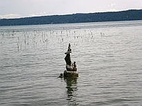 Steien im See