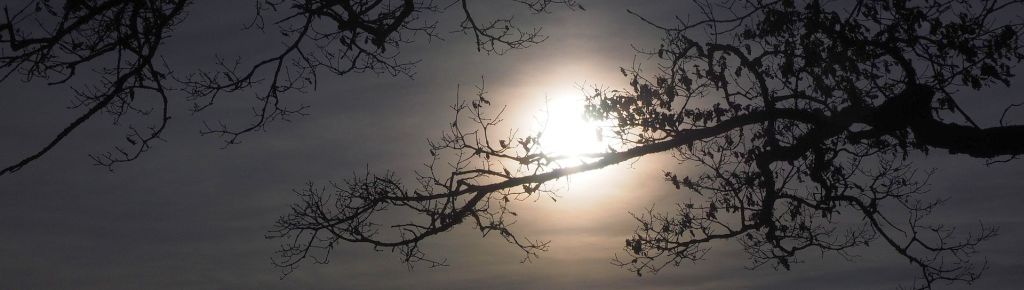 Vollmond